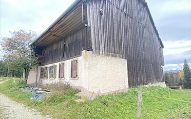 Farm house 7.5 rooms - image - 4