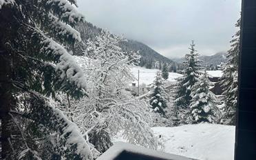 Chalet 6.5 pièces - image - 1