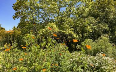 Einfamilienhaus 7.5 Zimmer - image - 2