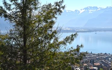 Villa - image - 3