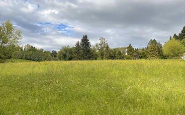 Duplex 5.5 rooms - image - 1