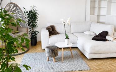 Wohnung 3.5 Zimmer - image - 3