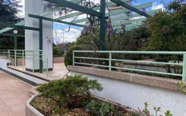 Terrace flat 5 rooms - image - 6
