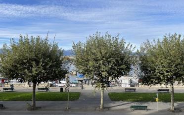 Wohnung 4 Zimmer - image - 9