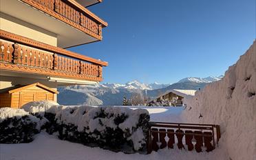 Appartement 3.5 pièces - image - 1