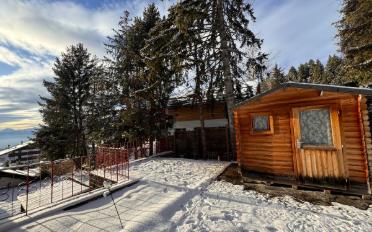 Chalet 7.5 pièces - image - 12