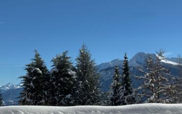 Wohnung 3.5 Zimmer - image - 13