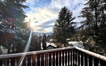 Chalet 7.5 pièces - image - 3