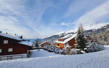 Wohnung 4.5 Zimmer - image - 5