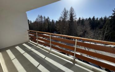 Möbl. Wohnobj. 2.5 Zimmer - image - 3