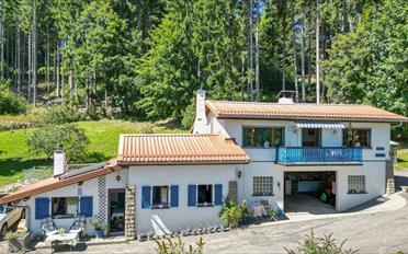 Einfamilienhaus 5.5 Zimmer - image - 1