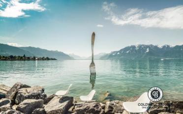 Villa 12 Zimmer - image - 1