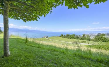 Villa 5.5 Zimmer - image - 4