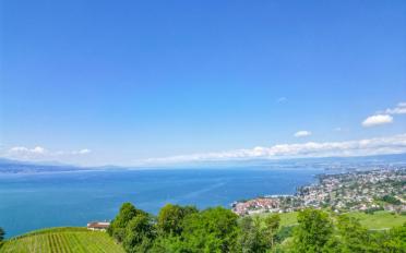 Villa 5.5 pièces - image - 5