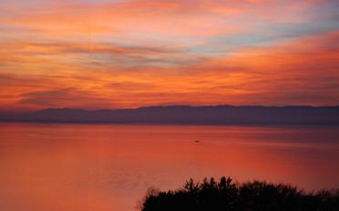 Villa 5.5 pièces - image - 2