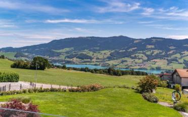 Villa 10 Zimmer - image - 2