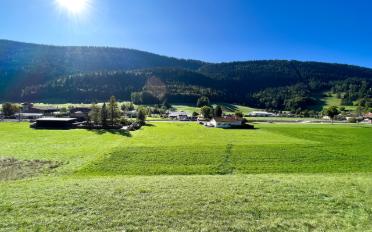 Building land - image - 6