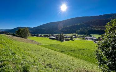 Building land - image - 11