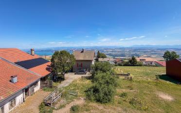 Single house - image - 3