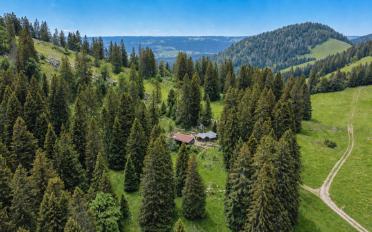 Chalet - image - 3