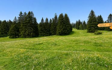 Chalet - image - 5