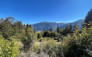 Terrain agricole - image - 2