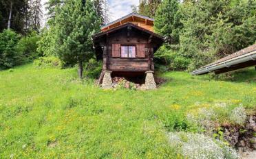 Chalet 5 rooms - image - 11
