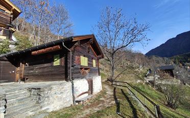Chalet 2.5 Zimmer - image - 1