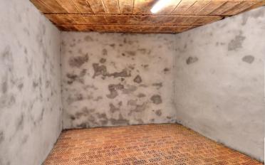 Einfamilienhaus 4.5 Zimmer - image - 8