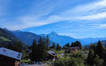 Chalet 5.5 Zimmer - image - 2