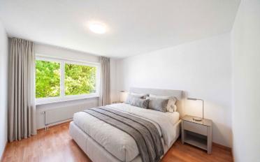 Wohnung 2.5 Zimmer - image - 3