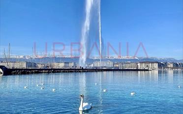 Immeuble résidentiel - image - 1