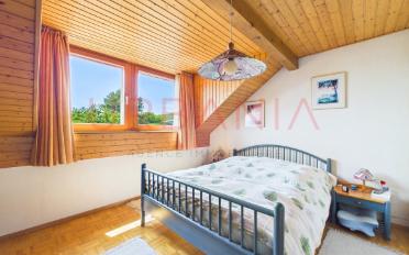 Single house 12 rooms - image - 5