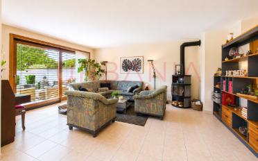 Single house 12 rooms - image - 4