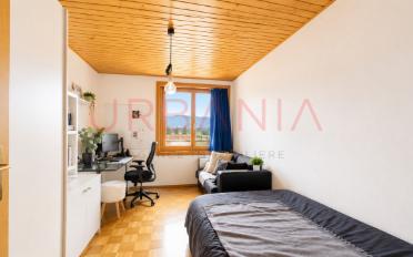 Single house 12 rooms - image - 7