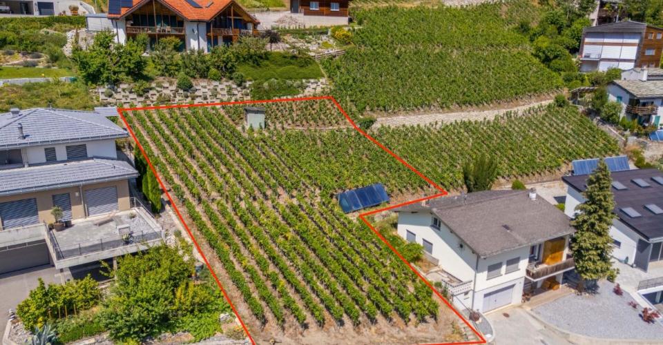 Votre maison de rêve pourrait être construite ici - terrain à bâtir ensoleillé à Loèche