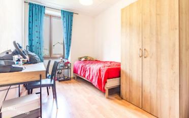 Wohnung 6.5 Zimmer - image - 6