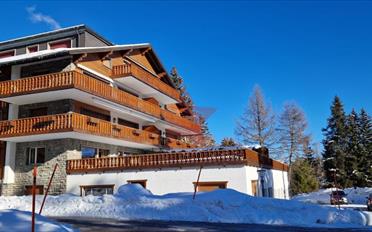 Wohnung 4.5 Zimmer - image - 1