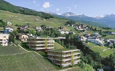 Wohnung 3.5 Zimmer - image - 1