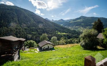 Building land - image - 5