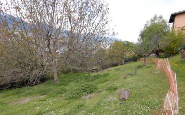 Bauland - image - 10