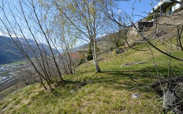 Bauland - image - 3