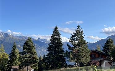Chalet 5.5 pièces - image - 1