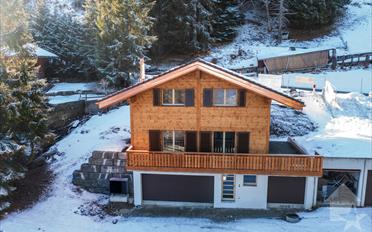 Chalet 5.5 pièces - image - 2