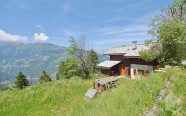 Chalet 3.5 Zimmer - image - 2