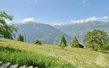 Chalet 3.5 Zimmer - image - 9