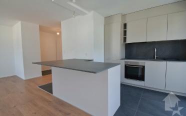 Wohnung 4.5 Zimmer - image - 8