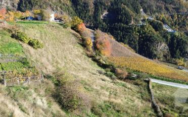 Bauland - image - 5