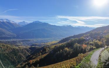 Bauland - image - 8