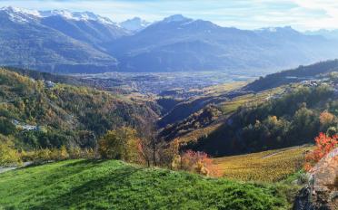 Bauland - image - 7